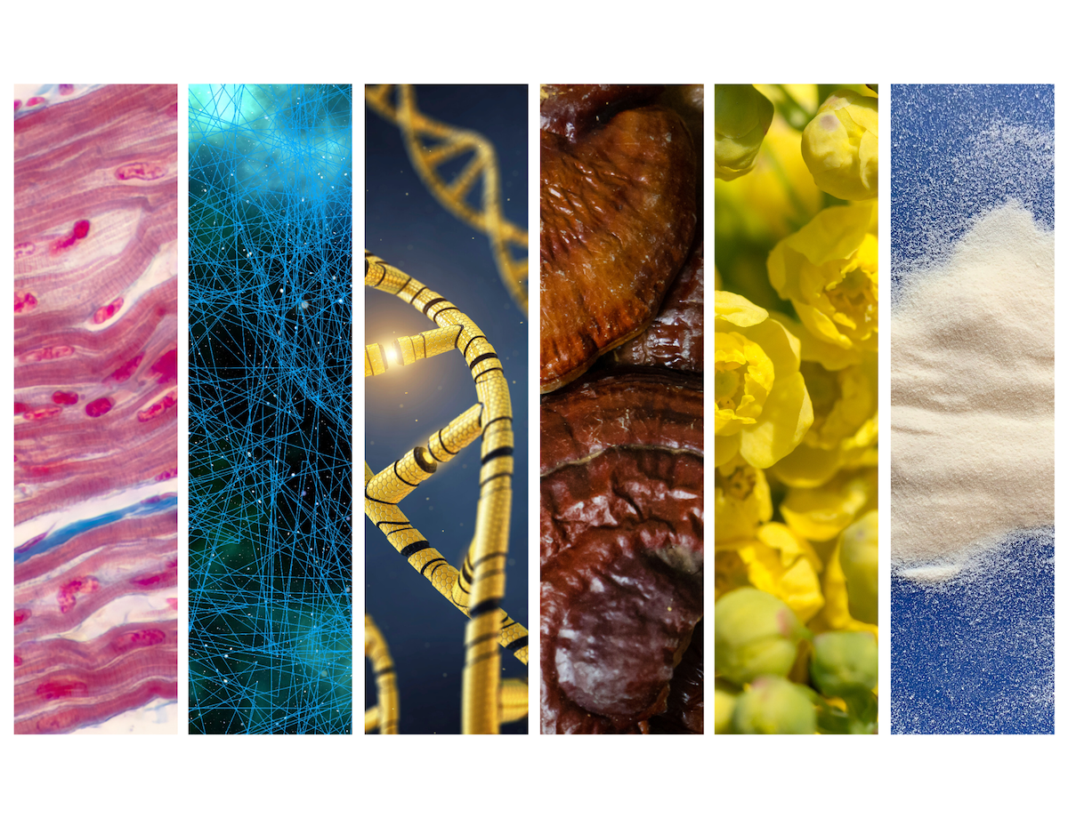 Top supplement trends